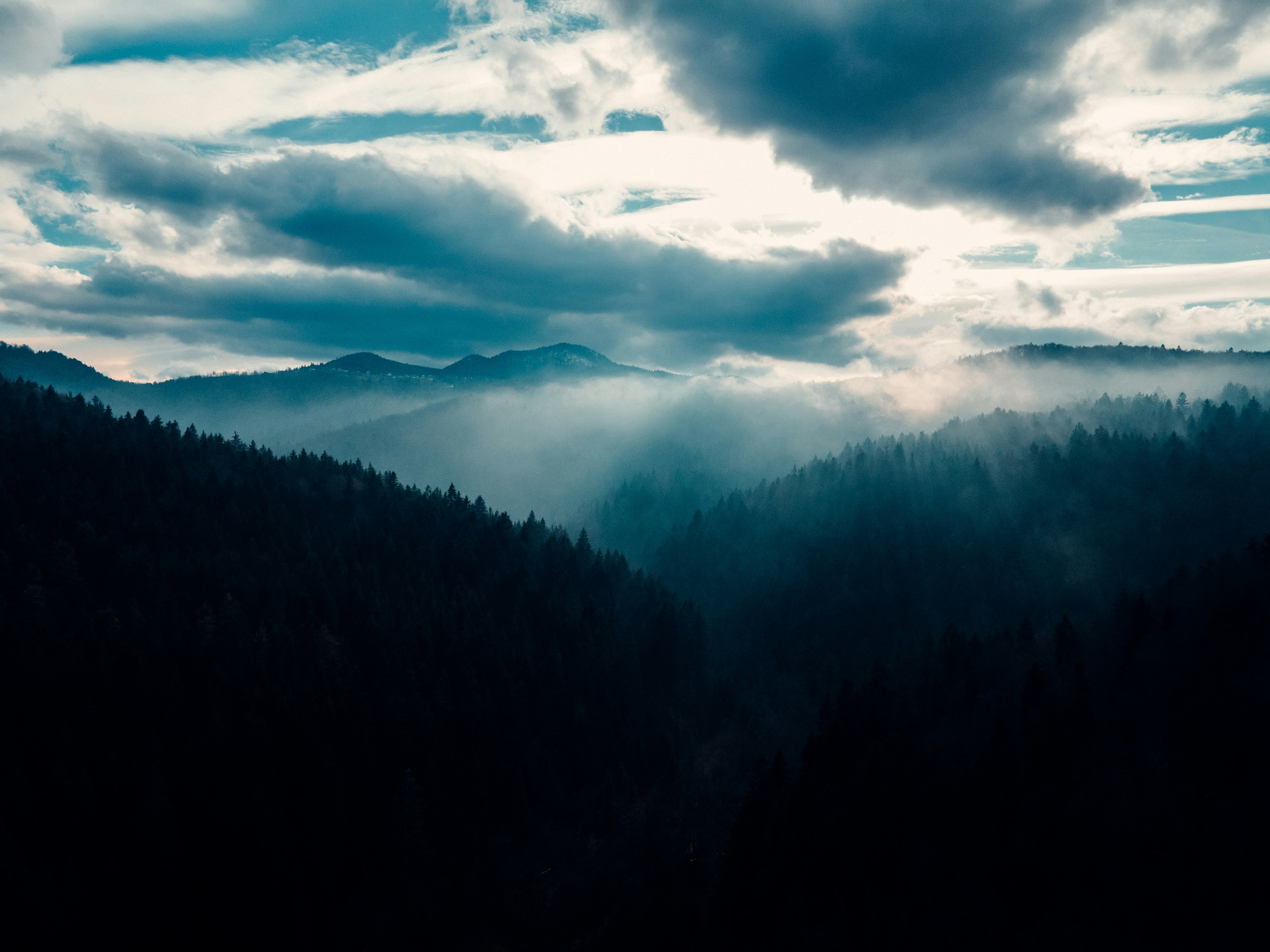 green trees under white clouds during daytime